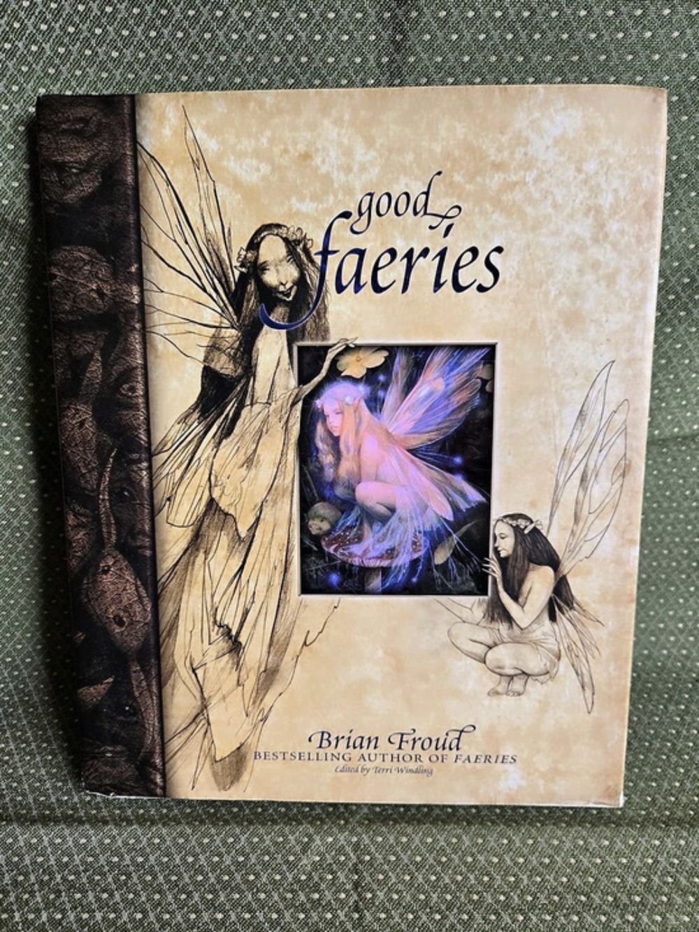 Good Faeries / Bad Faeries Illustrated Art Book By Brian Froud *see Damage*